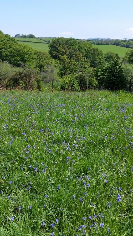 Lamerton The Megabus Near Tavistock And Dartmoor.酒店 外观 照片